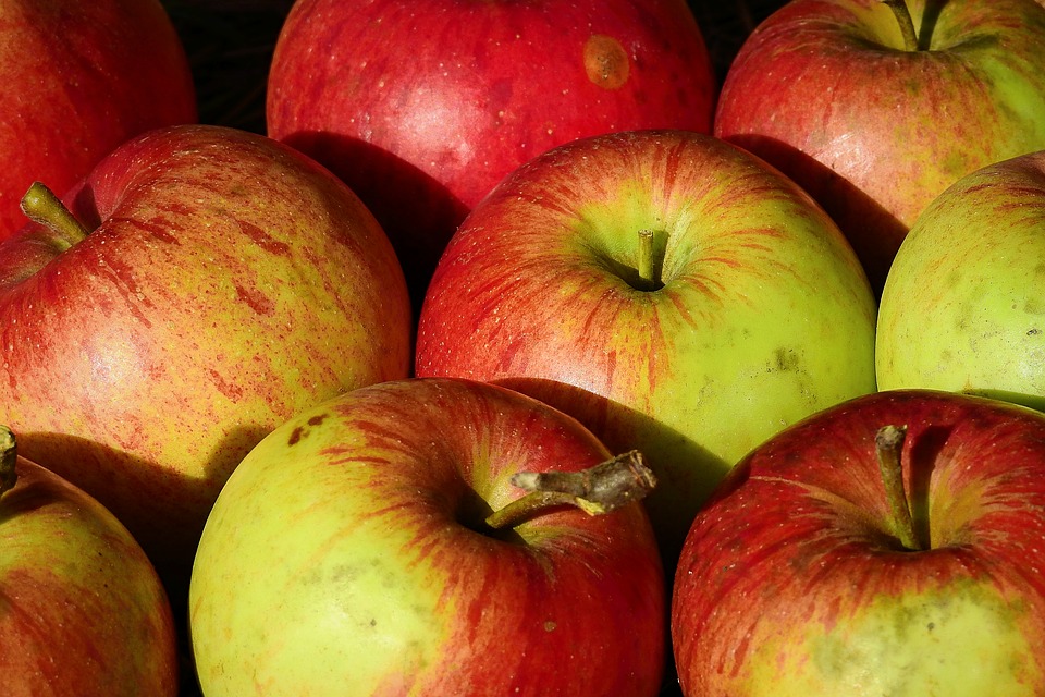 Apple Bobbing