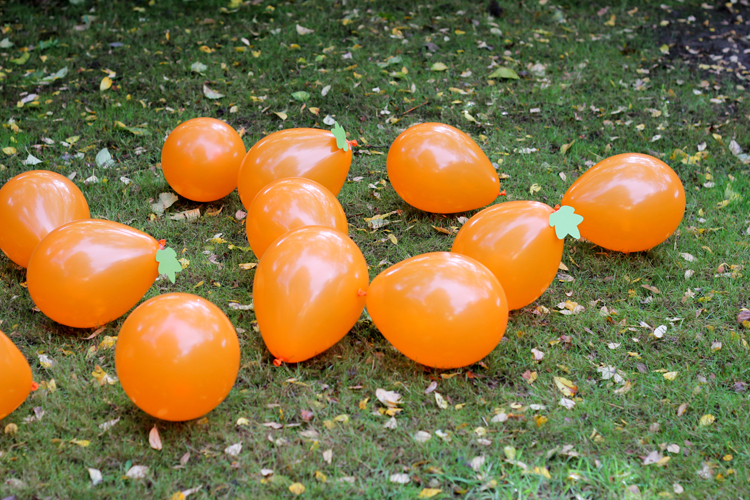 Pumpkin Patch Stomp